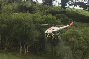 Unmanned Aerial Spraying Unmanned Aerial Spraying